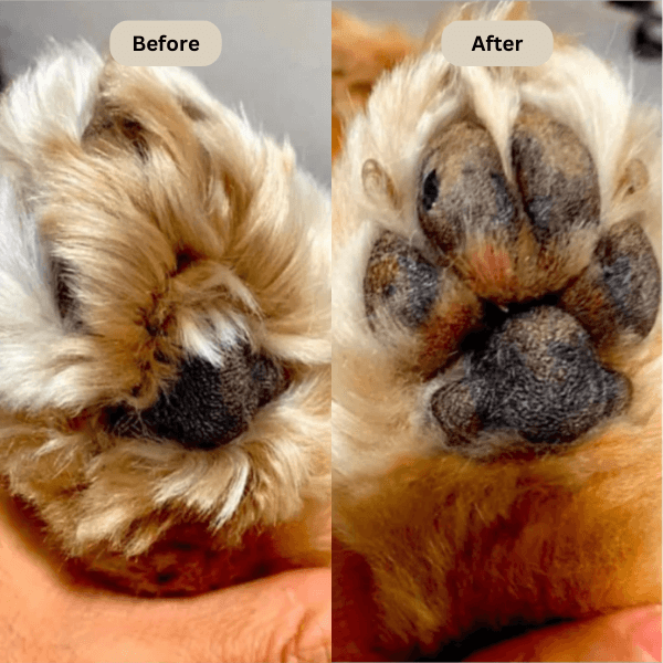 FreshPaws™ Fur Trimmer