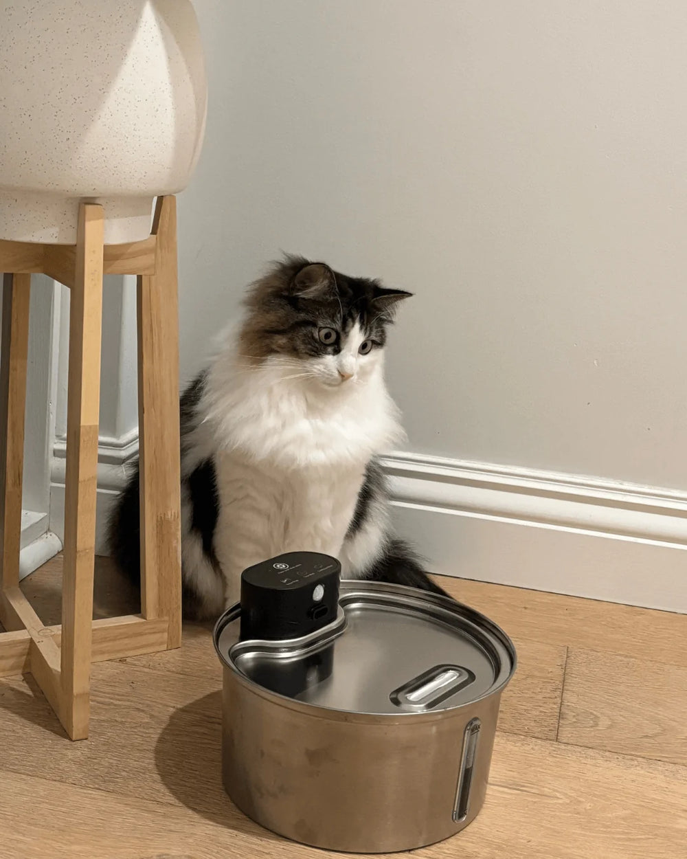 <h3>Real Love From Real Pet Parents 🐾</h3>