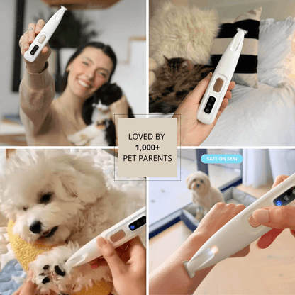 FreshPaws™ Everyday Care Duo