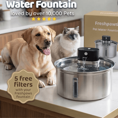FreshPaws™ Water Fountain + 5 Free Filters