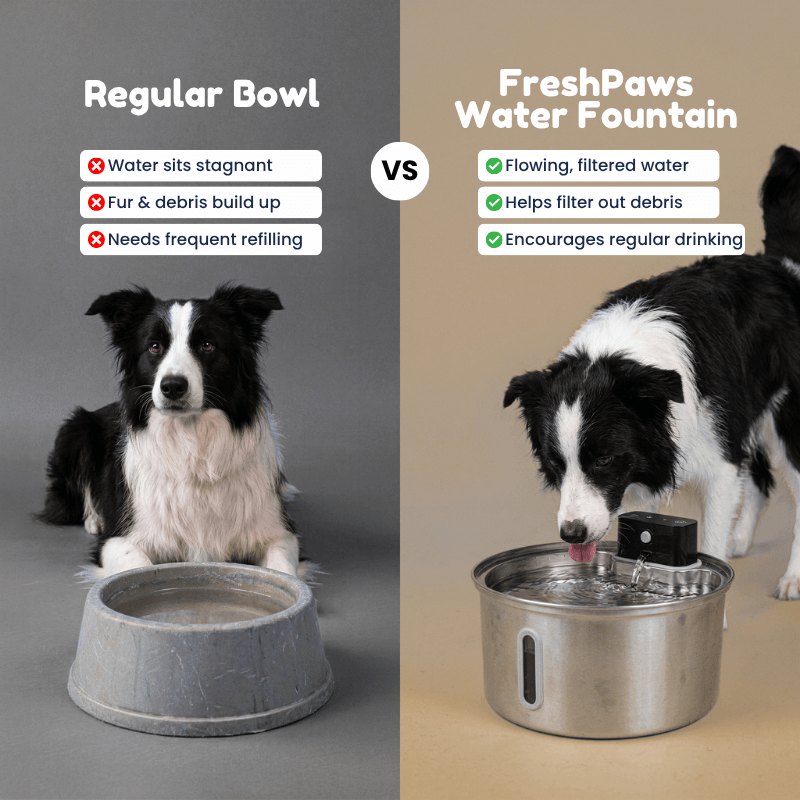 FreshPaws™ Water Fountain + 5 Free Filters