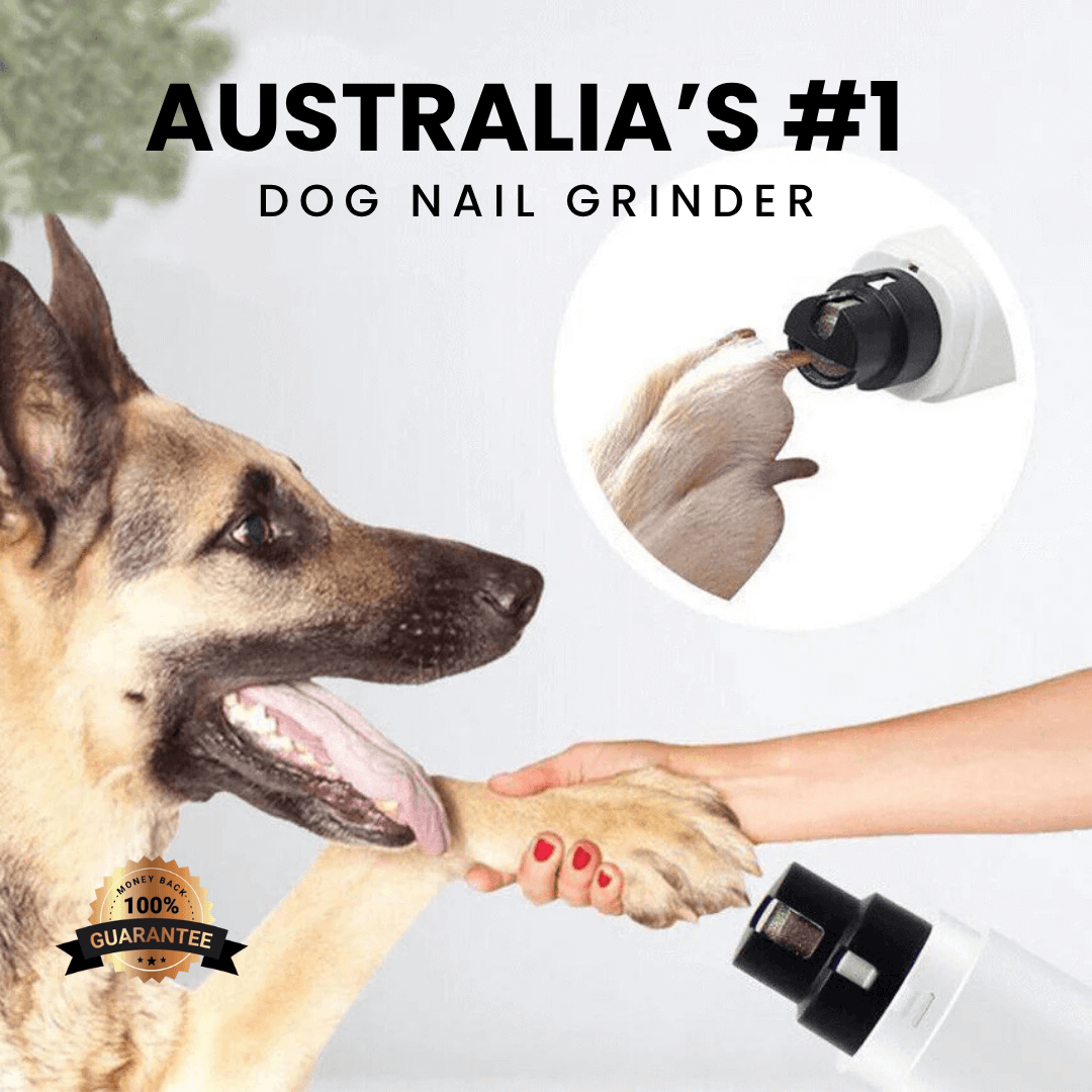 FreshPaws™ Ultimate Care Bundle