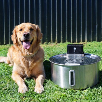 FreshPaws™ Water Fountain + 5 Free Filters