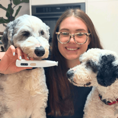 <h2>10,000+ Happy Pet Parents</h2>
