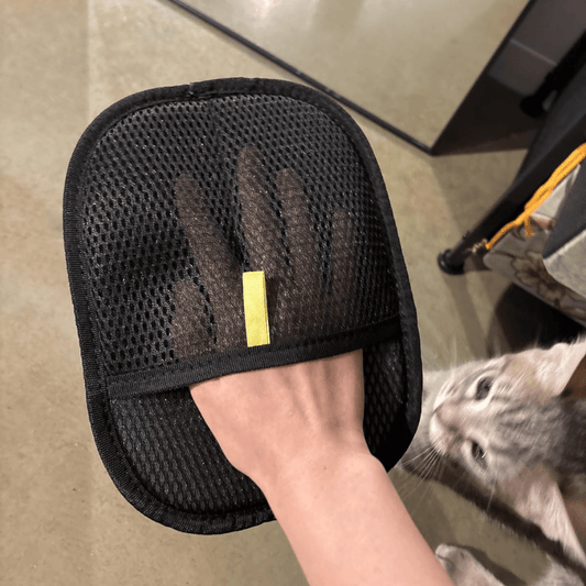 FreshPaws™ Groom Glove