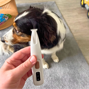 <h2>10,000+ Happy Pet Parents</h2>