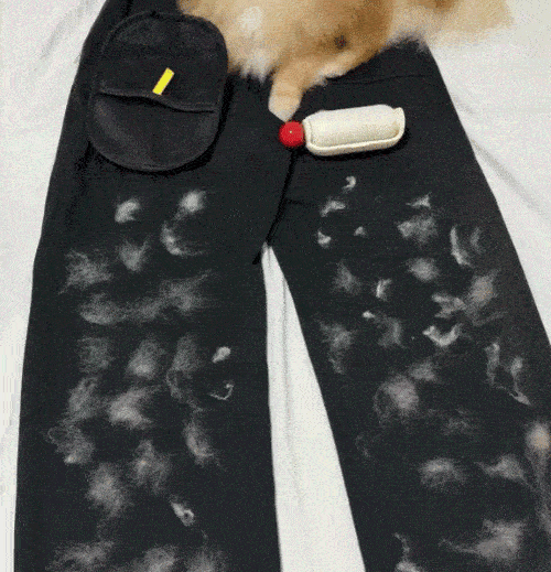 FreshPaws™ Groom Glove